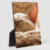 Sleepy Cat Fotoplatte (Seite)