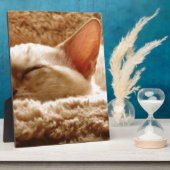 Sleepy Cat Fotoplatte (Seite)