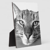 Sleepy Cat Fotoplatte (Seite)