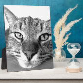 Sleepy Cat Fotoplatte (Seite)