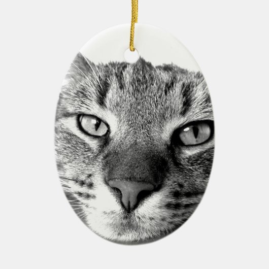 Sleepy Cat Keramik Ornament (Vorne)