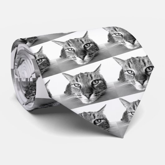 Sleepy Cat Krawatte (Gerollt)