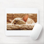 Sleepy Cat Mousepad (Mit Mouse)
