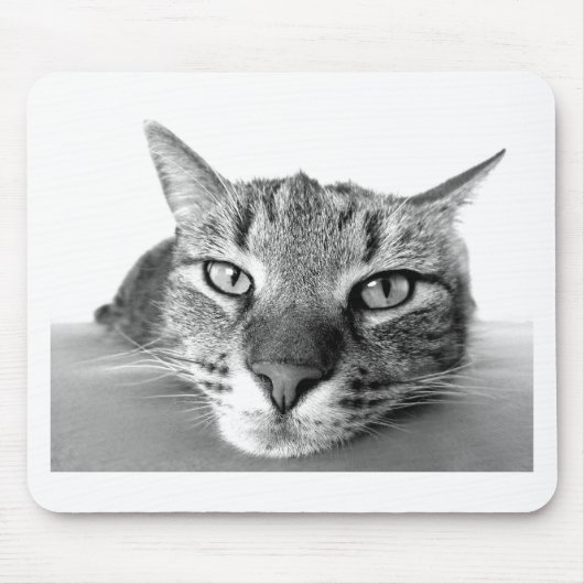 Sleepy Cat Mousepad (Vorne)