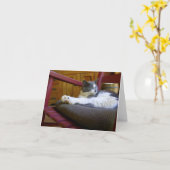 Sleepy Cat Note Card Karte (Gelbe Blume)