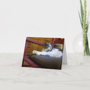 Sleepy Cat Note Card Karte