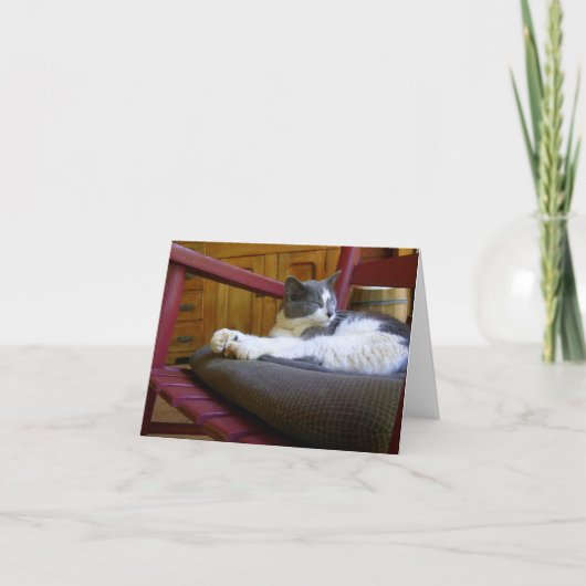 Sleepy Cat Note Card Karte (Vorderseite)