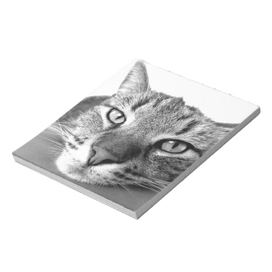 Sleepy Cat Notizblock (Rotiert)