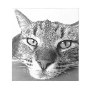 Sleepy Cat Notizblock