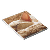 Sleepy Cat Notizblock (angewinkelt)