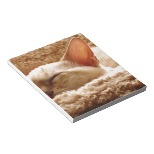 Sleepy Cat Notizblock (angewinkelt)