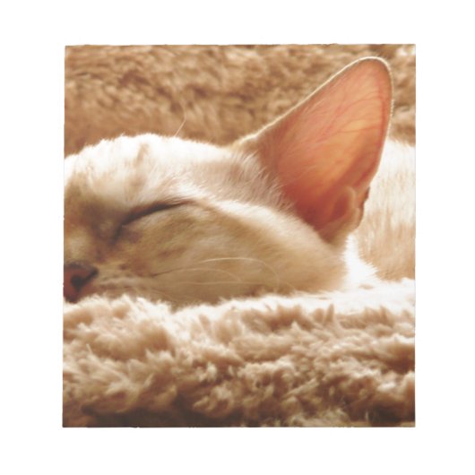 Sleepy Cat Notizblock (Vorderseite)
