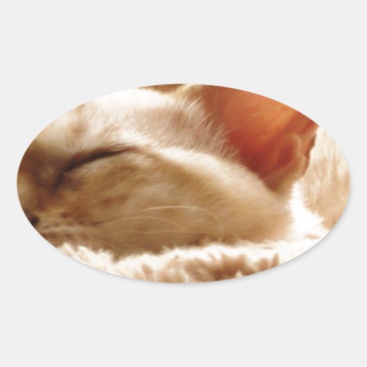 Sleepy Cat Ovaler Aufkleber (Vorderseite)