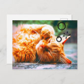 Sleepy Cat Postkarte (Vorne/Hinten)