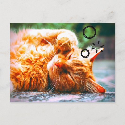 Sleepy Cat Postkarte (Vorderseite)