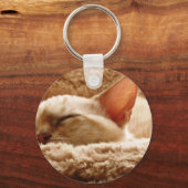 Sleepy Cat Schlüsselanhänger (Vorderseite)
