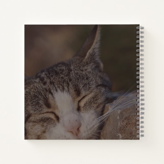Sleepy Cat Spiral Notebook Notizblock (Rückseite)