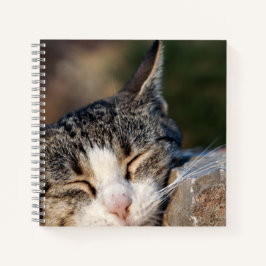 Sleepy Cat Spiral Notebook Notizblock