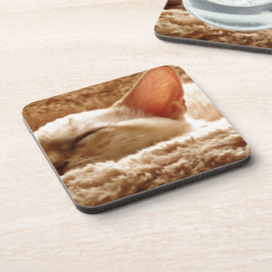 Sleepy Cat Untersetzer (Linke Seite)