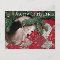 Sleepy Christmas Beagle