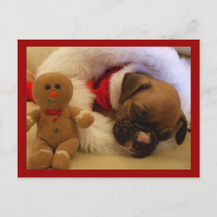 Sleepy Christmas Boxer Puppy-Postkarte Feiertagspostkarte