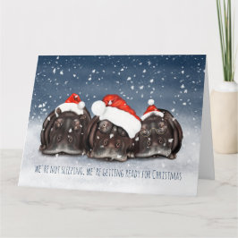 Sleepy Christmas Hippo Trio Weihnachtskarte Karte