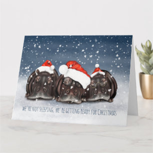 Sleepy Christmas Hippo Trio Weihnachtskarte Karte