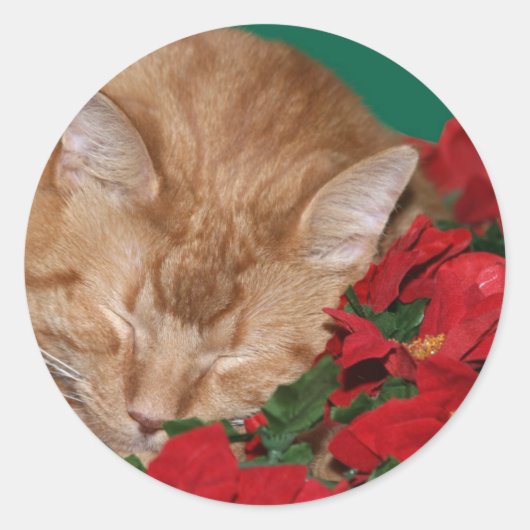 Sleepy Christmas kitty Runder Aufkleber (Vorderseite)