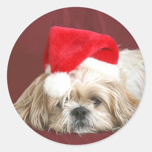 Sleepy Christmas Shih Tzu Runder Aufkleber (Vorderseite)
