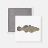 Sleepy Cod Magnet (Vorderseite/Rückseite)