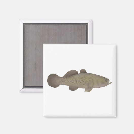 Sleepy Cod Magnet (Vorderseite/Rückseite)