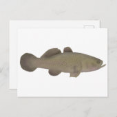 Sleepy Cod Postkarte (Vorne/Hinten)