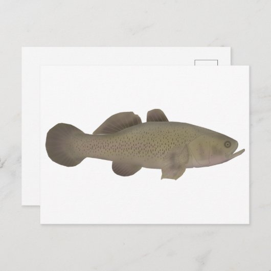 Sleepy Cod Postkarte (Vorne/Hinten)