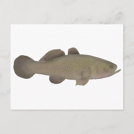 Sleepy Cod Postkarte (Vorderseite)