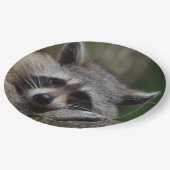 Sleepy Cute Raccoon Pappteller (Schrägansicht)