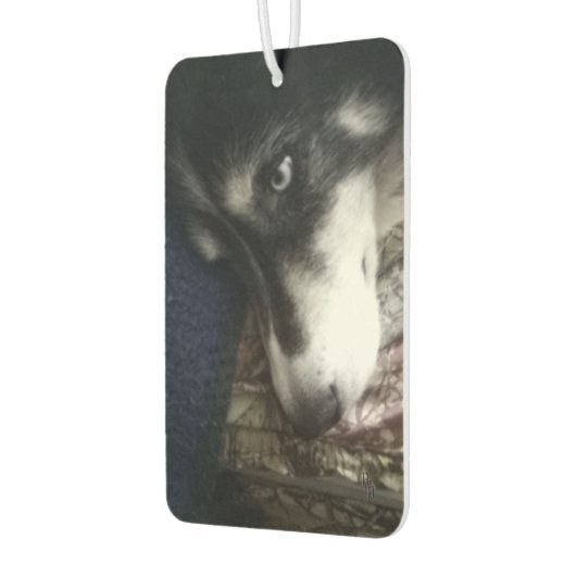 Sleepy Dog Autolufterfrischer (Links)