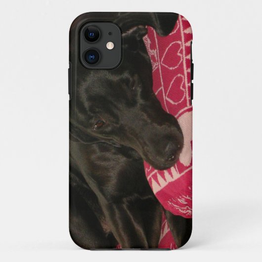 Sleepy Dog iPhone 5 Fall Case-Mate iPhone Hülle (Rückseite)