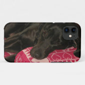 Sleepy Dog iPhone 5 Fall Case-Mate iPhone Hülle (Rückseite (Horizontal))
