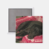 Sleepy Dog Magnet (Vorderseite/Rückseite)