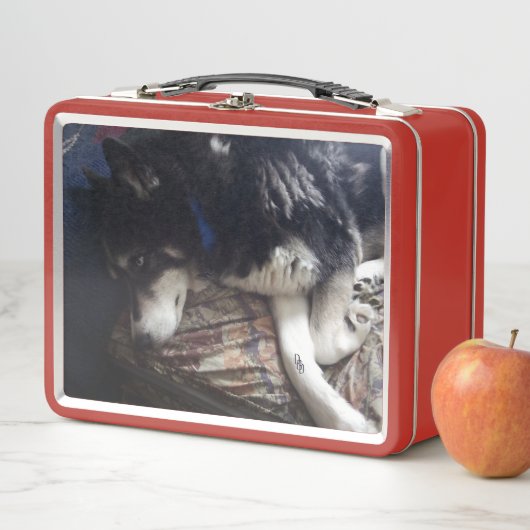 Sleepy Dog Metall Brotdose (Beispiel)