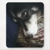 Sleepy Dog Mousepad (Vorne)