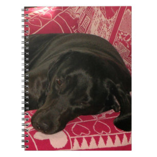 Sleepy Dog Notebook Notizblock