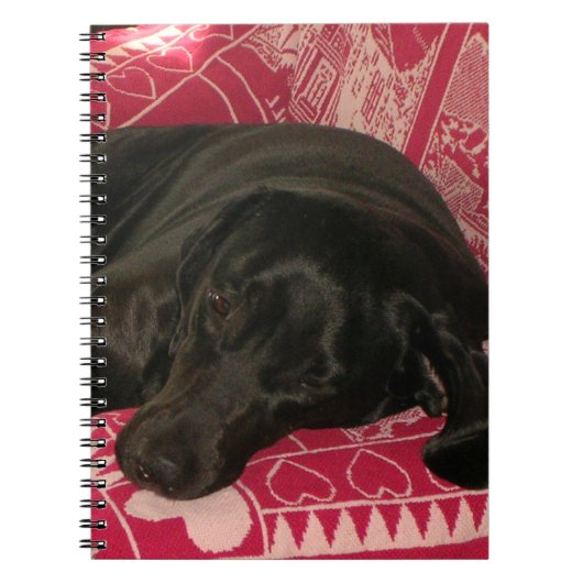 Sleepy Dog Notebook Notizblock (Vorderseite)