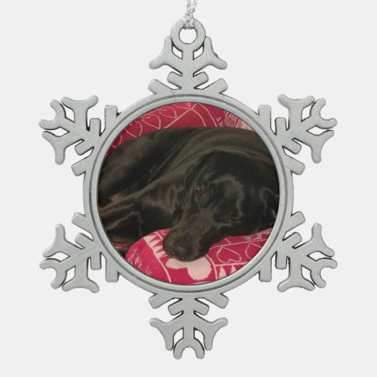 Sleepy Dog Pewter Ornament (Vorderseite)