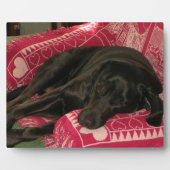Sleepy Dog Plaque Fotoplatte (Vorderseite)