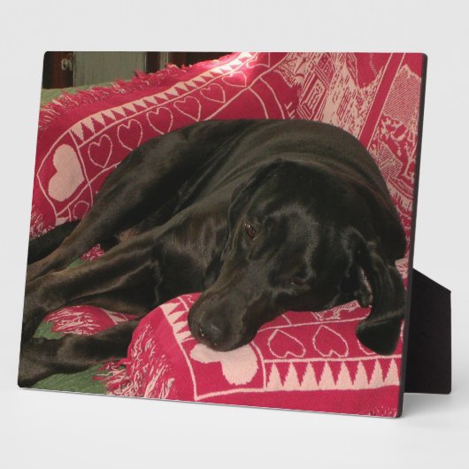 Sleepy Dog Plaque Fotoplatte (Seite)