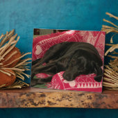 Sleepy Dog Plaque Fotoplatte (Seite)