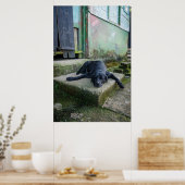 Sleepy Dog Poster (Küche)