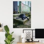 Sleepy Dog Poster (Heimbüro)