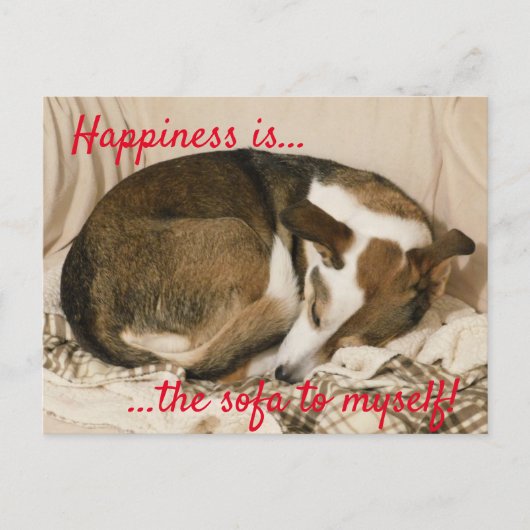 Sleepy Dog Postkarte (Vorderseite)